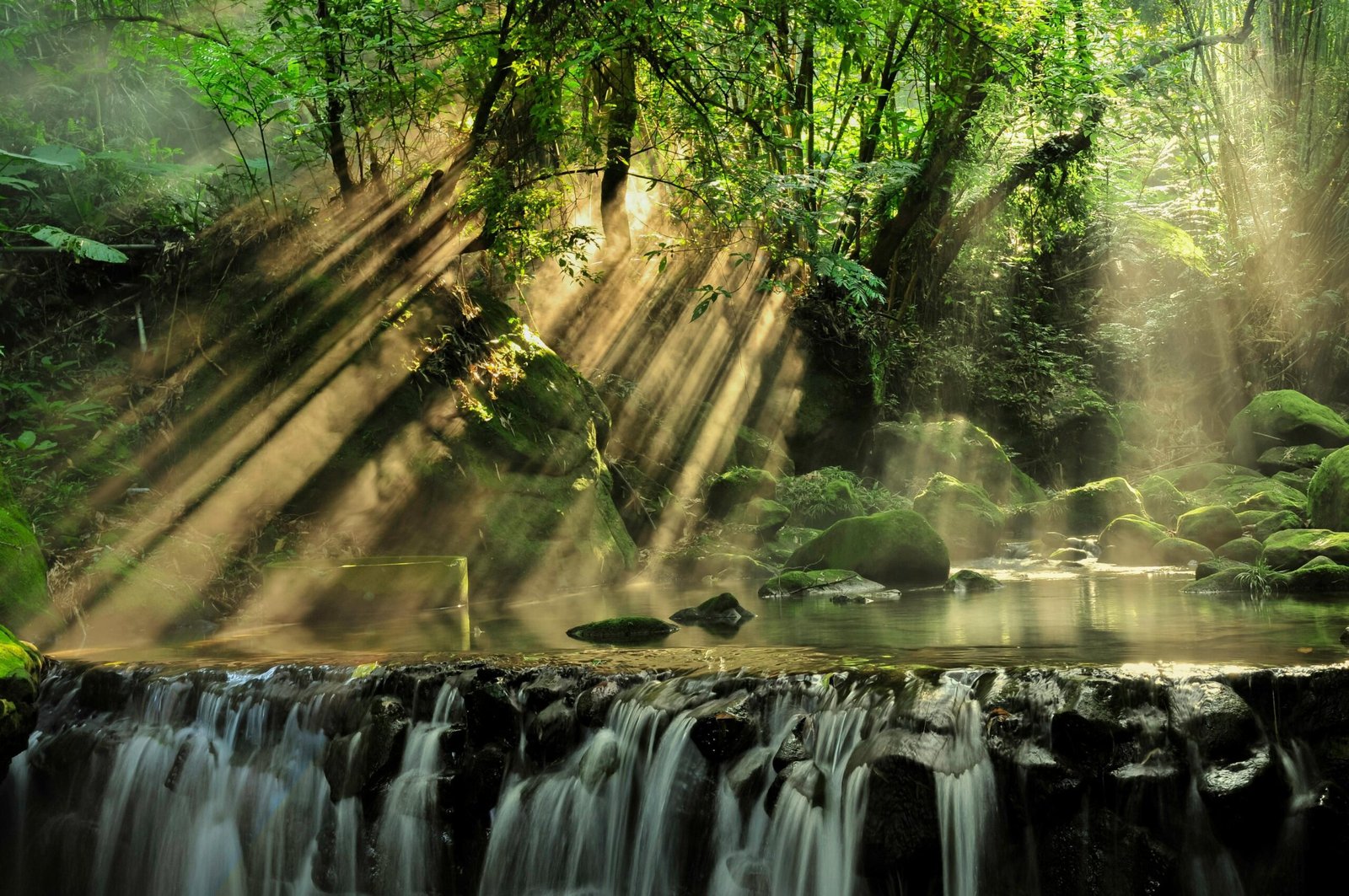 a waterfall in the middle of a forest