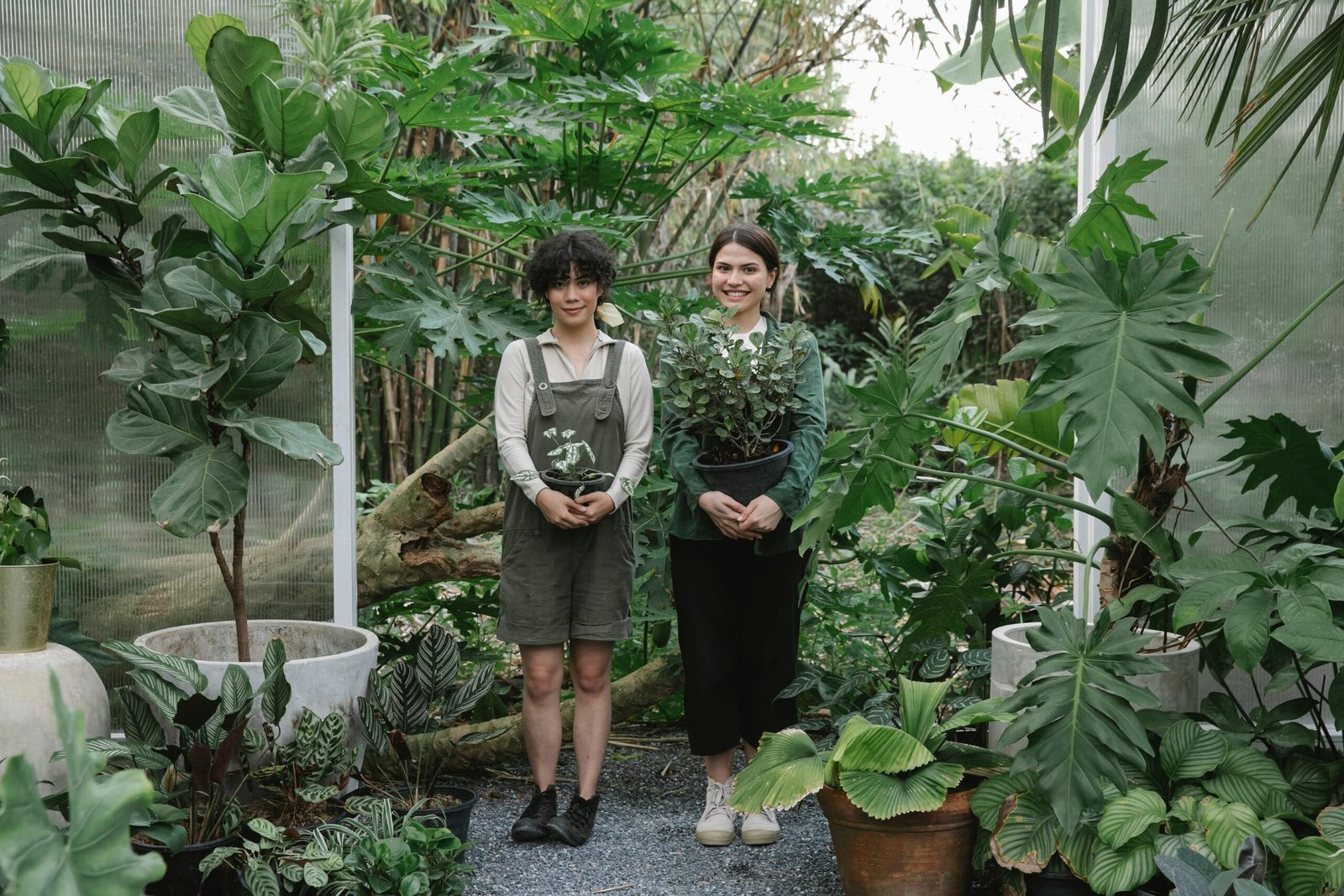 two women standing in a garden with plants