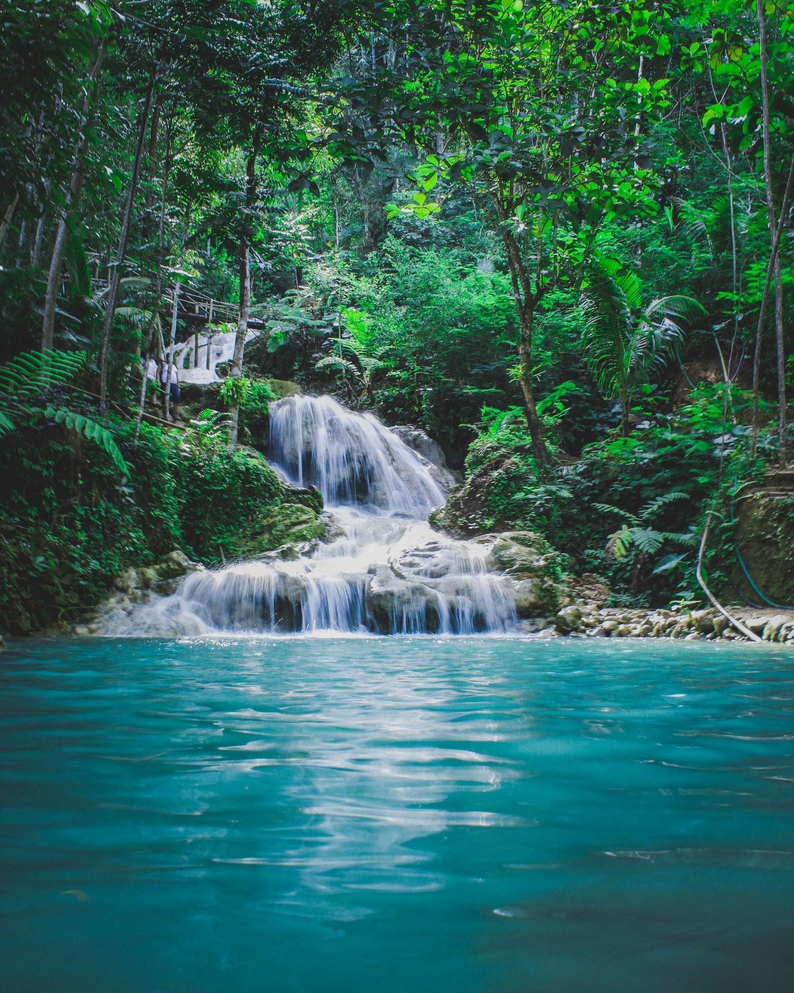 a waterfall in the middle of a jungle