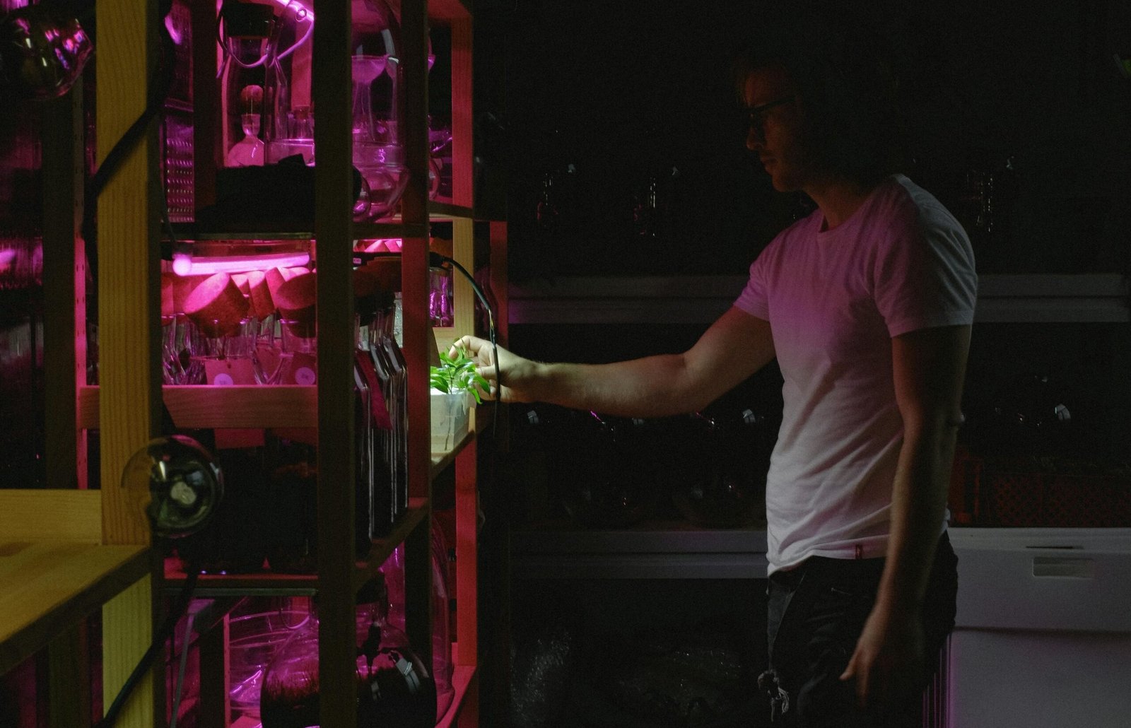 a man in a pink shirt is holding a green plant